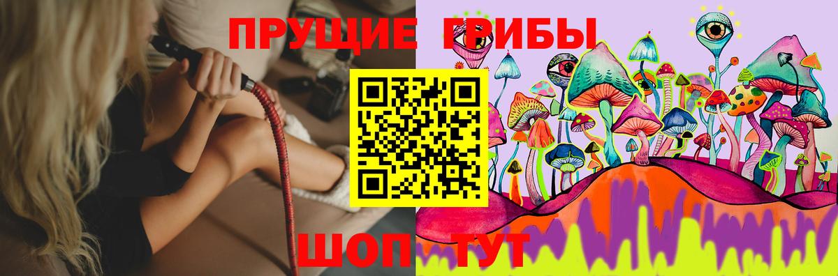 Дмитров  Псилоцибиновые грибы MAGIC MUSHROOMS  Вход с VPN 